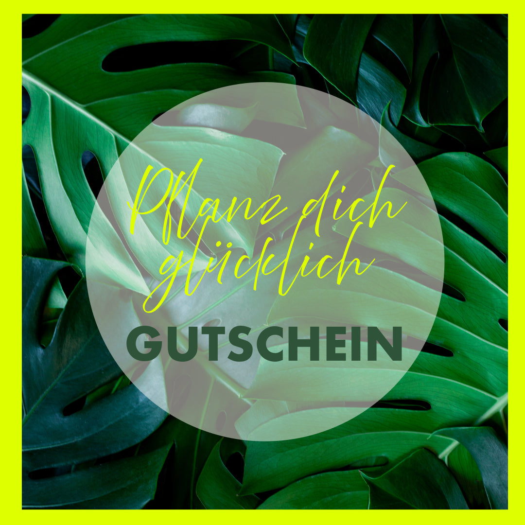 PLANTS DAD GUTSCHEIN