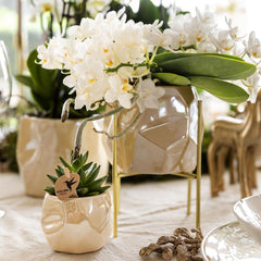 Kolibri Home | Kombi-Angebot - Pearl Travertin Töpfe