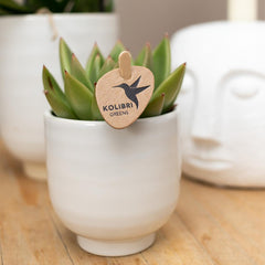 Kolibri Home | Blumentopf glasiert - Weißer Keramik-Ziertopf mit Glanz - Ø9cm