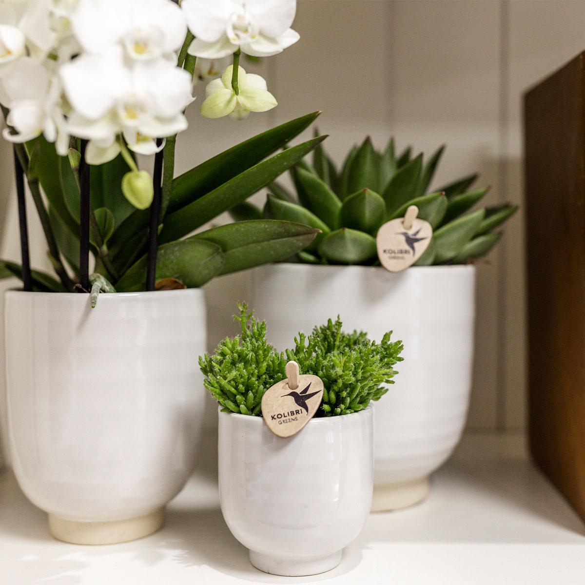 Kolibri Home | Blumentopf glasiert - Weißer Keramik-Ziertopf mit Glanz - Ø12cm