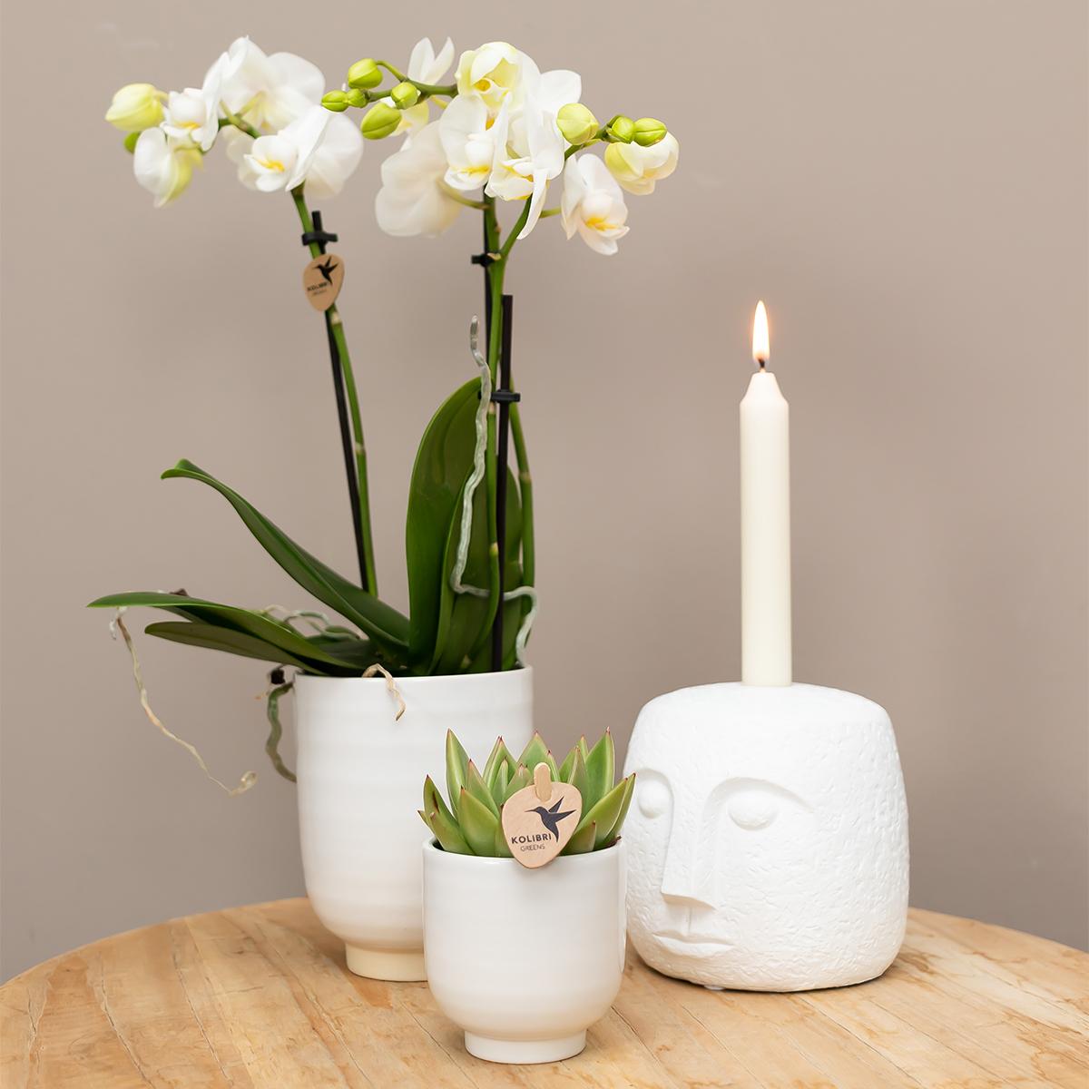 Kolibri Home | Blumentopf glasiert - Weißer Keramik-Ziertopf mit Glanz - Ø9cm