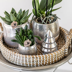 Kolibri Home | Elite silver pot - topfgröße Ø9cm - Ø9cm