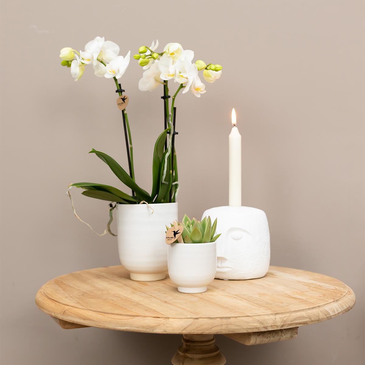 Kolibri Home | Blumentopf glasiert - Weißer Keramik-Ziertopf mit Glanz - Ø9cm