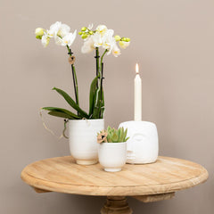 Kolibri Home | Blumentopf glasiert - Weißer Keramik-Ziertopf mit Glanz - Ø9cm