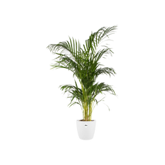 Pot elho Brussels Round Wit D30 x H27